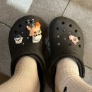 고집남경주용황점