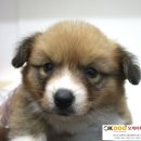 남양별내7 이미지