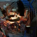 동신민박 이미지