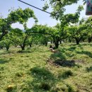 인선농장 이미지