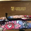 고려대학교안경콘택트 이미지