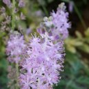 백현로150번길 이미지