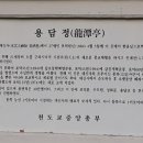 용담장 Daum카페