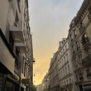 🇫🇷 Paris | 파리 신혼여행 Day 4 (1) • 루브르 박물관 관람후기 • 튈르리 정원 산책
