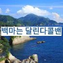 백마고시원