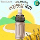 아침햇살 이미지