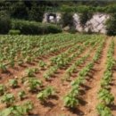 길상면-2 이미지