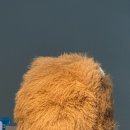 짱뽑기방 이미지