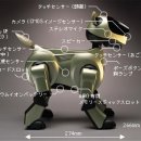 오너랭귀지 이미지