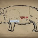 제담