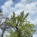 (주)나무연구소 이미지