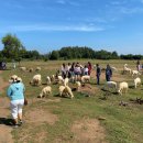 윤석한 | [베트남/호치민] 붕따우 데이투어 후기!! Feat 투어편 <호치민여행기> ❥