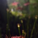 언덕카페 이미지