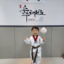 충무태권도장 이미지