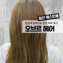 [일산염색잘하는 미용실 오브르헤어] 새로 오픈한 웨돔미용실 | 일산염색잘하는 미용실 | 탈색머리 복구...