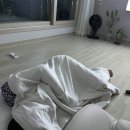 잭슨카멜레온 타탄 소파 6개월 사용 후기 (패브릭소파 vs 가죽소파 6개월 고민하고 구매함)