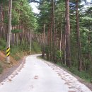 양양명주사부도군 이미지