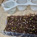 정식농장 이미지