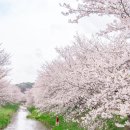 성북2리 마을회관 이미지
