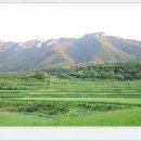 지내마을경로당 | [스크랩] ＜통도사 순환둘레길(영축산) 걷기여행＞길동무프로그램 후기