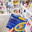 아빠곰약국 이미지