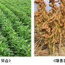 대풍산업