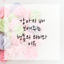 고양동물병원
