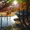 구갈레스피아공원 이미지