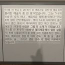 마이마치컴퍼니 | [프랑스/파리] 파리시내+베르사유 궁전 차량투어 (마이리얼트립)
