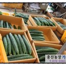 종진농장 이미지