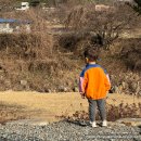 [경기 양평]문앤스타캠핑장 후기 경기도 캠핑장 추천