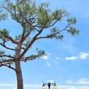 괘릉 화장실 이미지