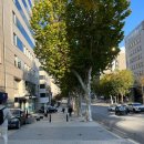 도노슈아 이미지