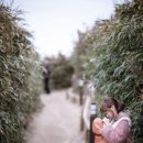 화랑이용소