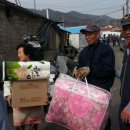 홍산119안전센터 Daum카페