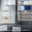 맑음케이크