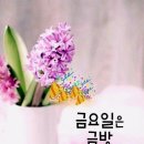 갓구운빵