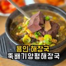 문현로 | 용인 해장국 아침식사 해장 혼밥도 다 가능한 맛집 내돈내산 후기 뚝배기양평해장국