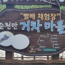 거차뻘배체험마을 | 순천만 거차마을 뻘배체험