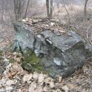 야생초마을아미골 이미지