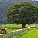 야로면사무소 이미지