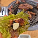 계룡숯불닭갈비앤닭보쌈 이미지