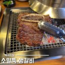 일산맛집 소말뚝생갈비 일산모임장소 추천 생갈비 갈비살후기