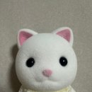 알리에서 구매한 실바니안 소품 21cm 인형과 스티커