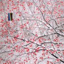 ICHEON130 네이버블로그