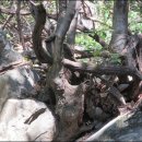 관산보건진료소 이미지