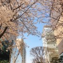 잔뜩밀린 먹고살이 : 디라이프스타일키친, 엘쁠라또, 온센, 카페이마, 카레시 외