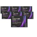 에버그린 이미지