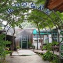 솔방솔방 이미지