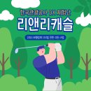 리앤리캐슬 이미지